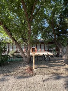 Wide shot of Little Free Library on wooden post in front of tree and the Haven Montessori school building.